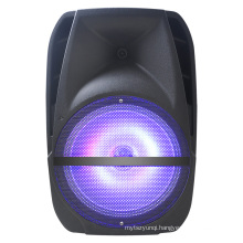 15inch Woofer Battery Speaker System Fs-19d